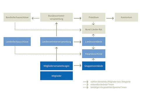 Organigramm des NABU